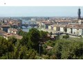 Florence(153)