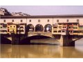 Florence(164)