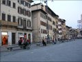 Florence(181)