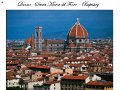 Florence(244)