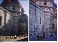 Florence(255)