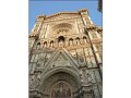 Florence(258)