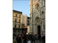 Florence(264)