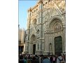 Florence(265)