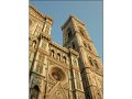 Florence(272)