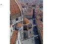 Florence(313)
