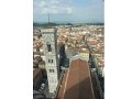 Florence(318)