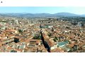 Florence(325)