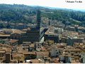 Florence(329)