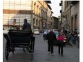 Florence(397)