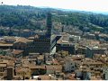 Florence(85)