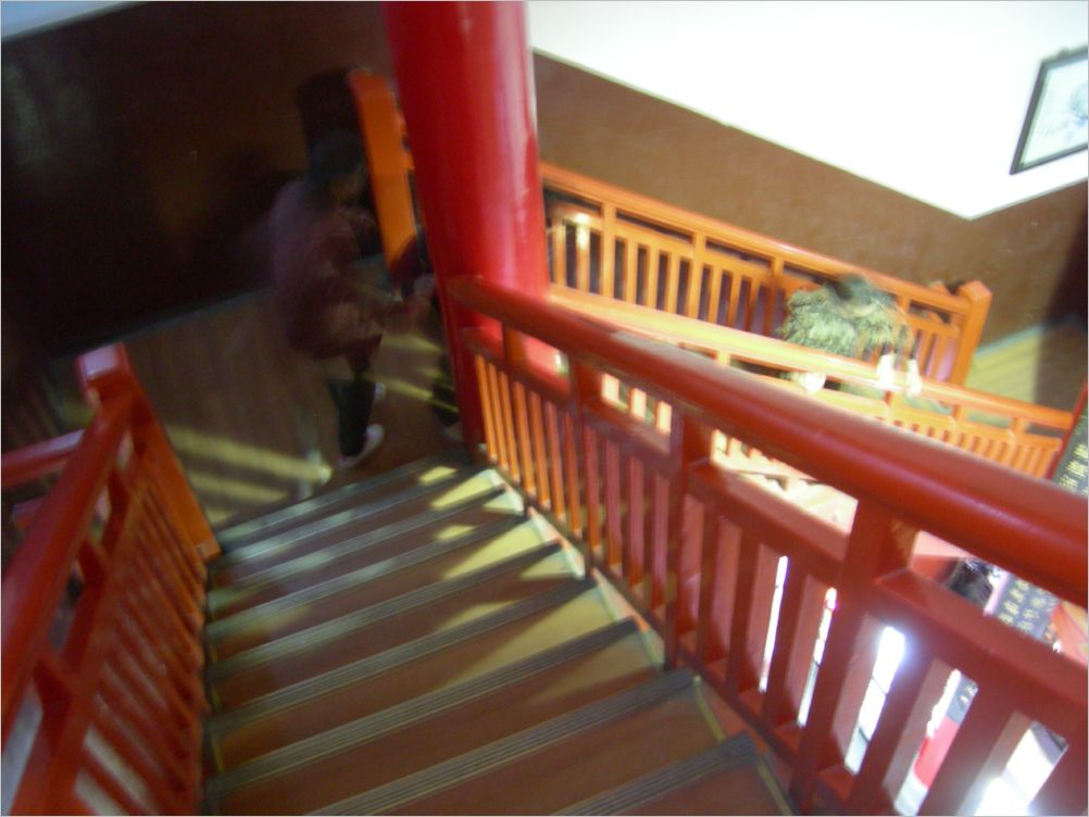 DSCN3782